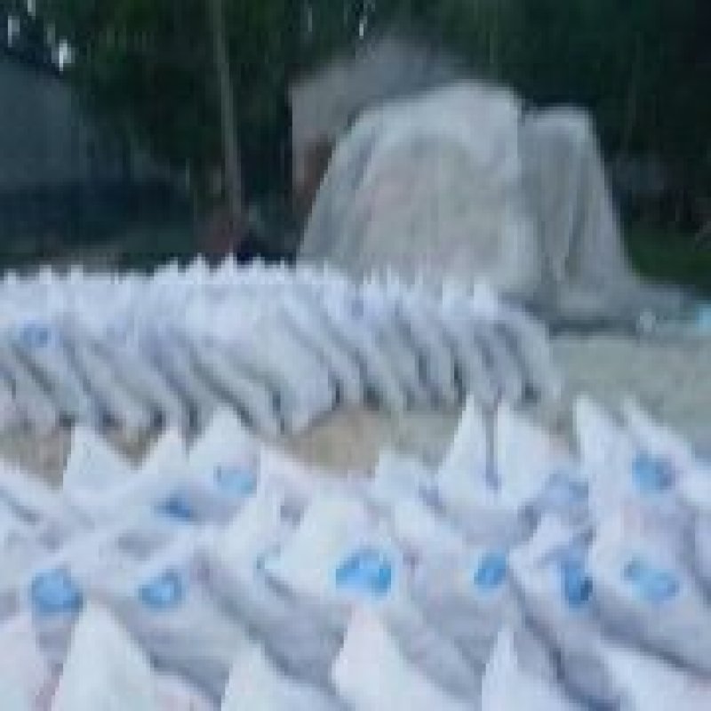 酸辣粉条10kg/袋砀山