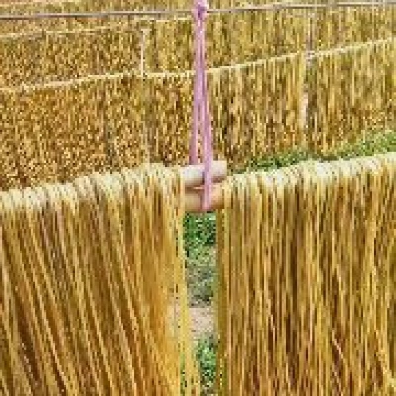 酸辣粉条10kg/袋砀山
