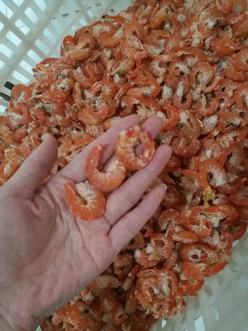 山东海米干虾仁