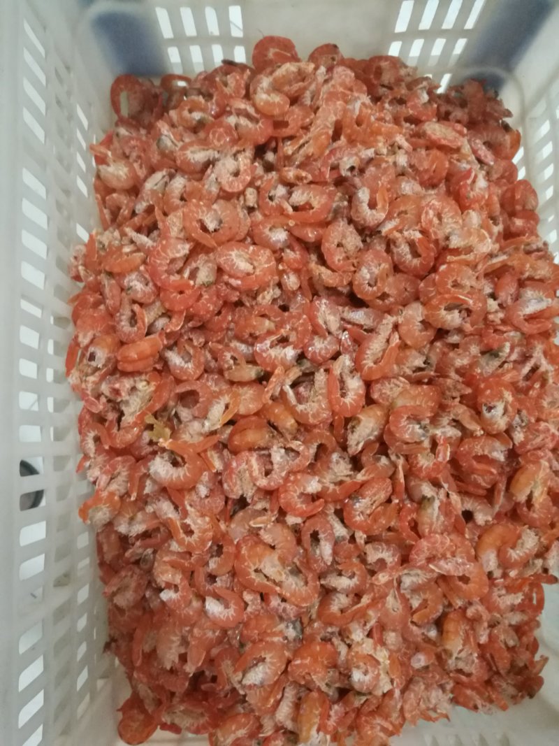 山东海米干虾仁