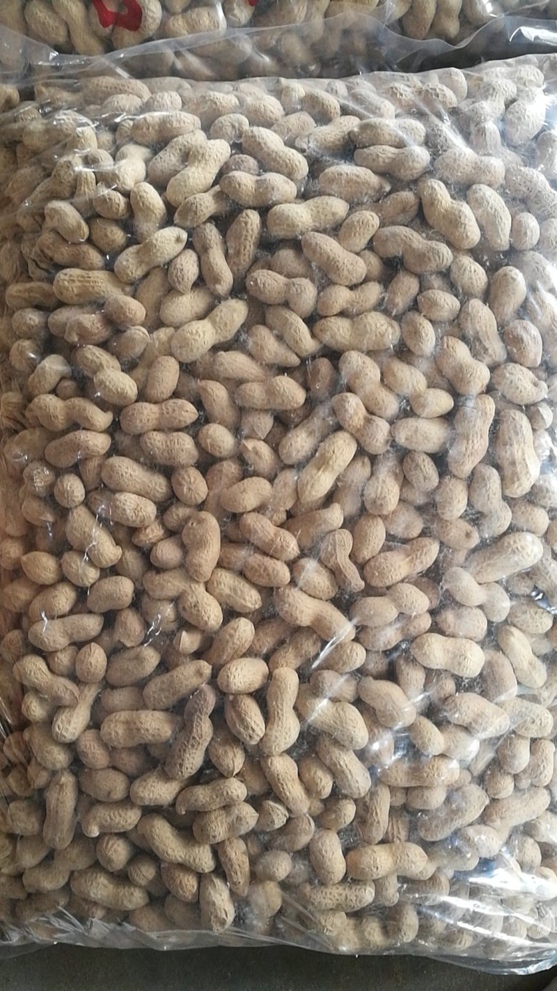 2022新原味炒花生原味花生带壳花生，炒花生鲜花生，花生