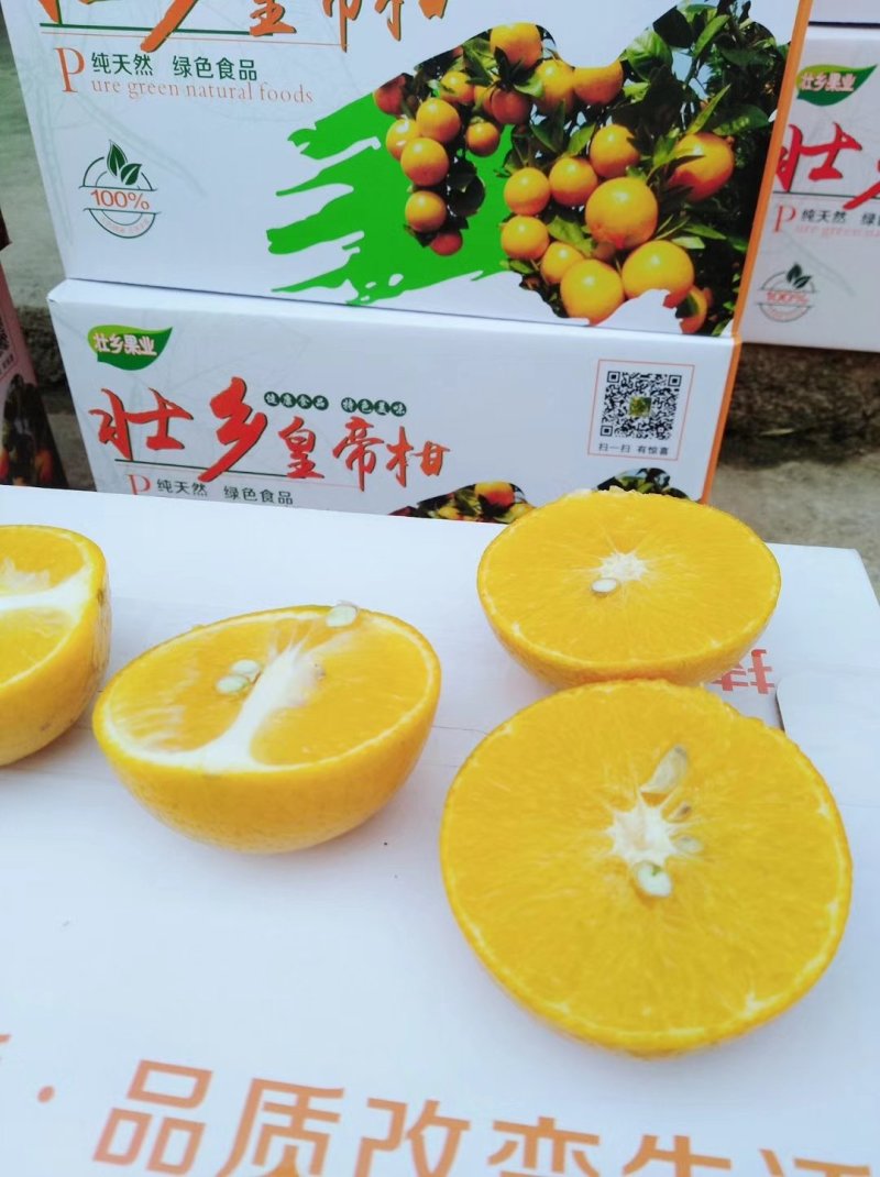皇帝柑贡柑已能上市欢迎订货