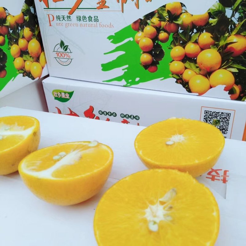 皇帝柑贡柑已能上市欢迎订货