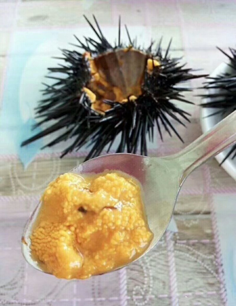 海胆肉200克一盒，98元一盒