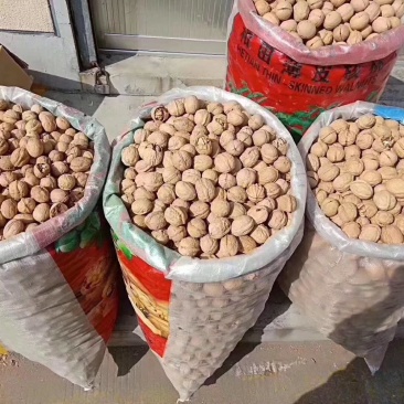 新疆核桃