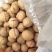 新疆核桃