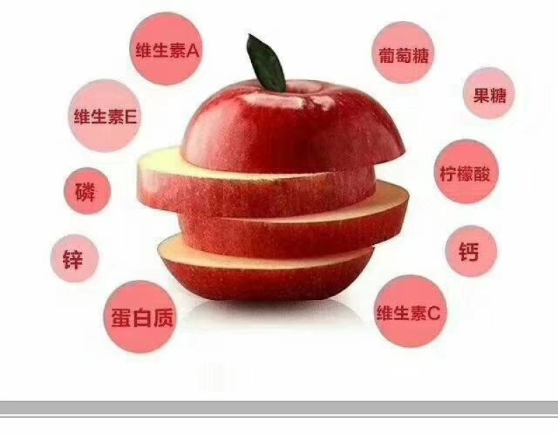 蛇果苹果树苗90-100cm