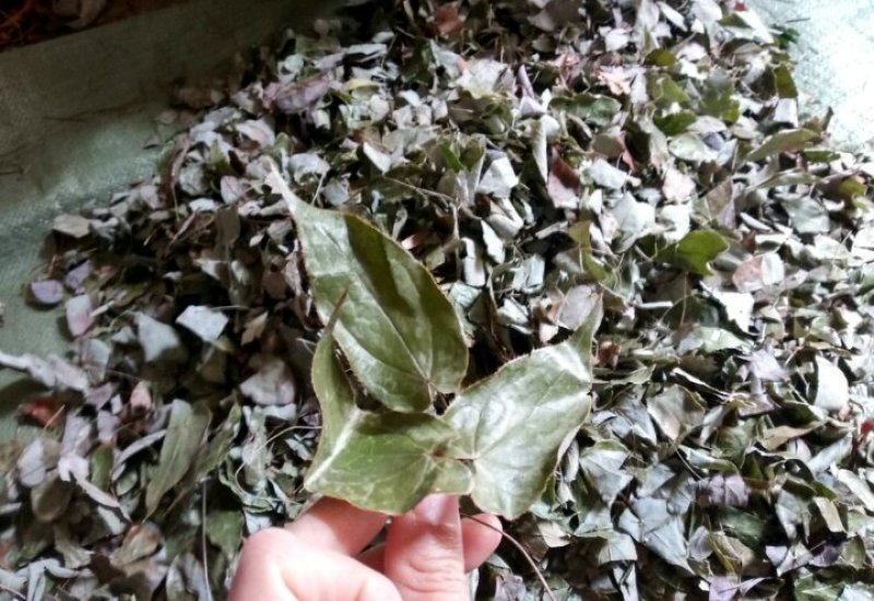 野生淫羊藿全叶，干货