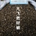 柴胡黑柴胡野生内蒙1公斤起批无硫无添加不包邮