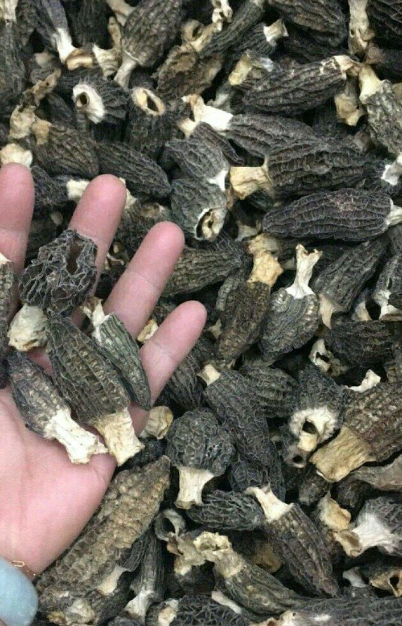 羊肚菌500g