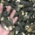 羊肚菌500g