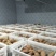 生态种植让人流口水烟薯25产地各种规格出售，老少皆宜