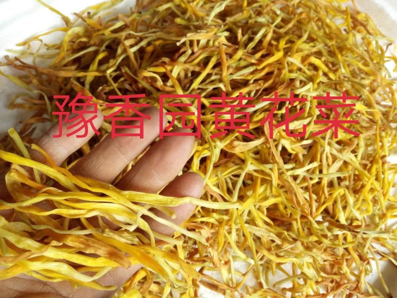 新货上市黄花菜干货散装一级无硫大条