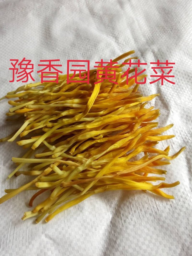 新货上市黄花菜干货散装一级无硫大条