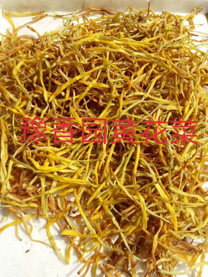 新货上市黄花菜干货散装一级无硫大条