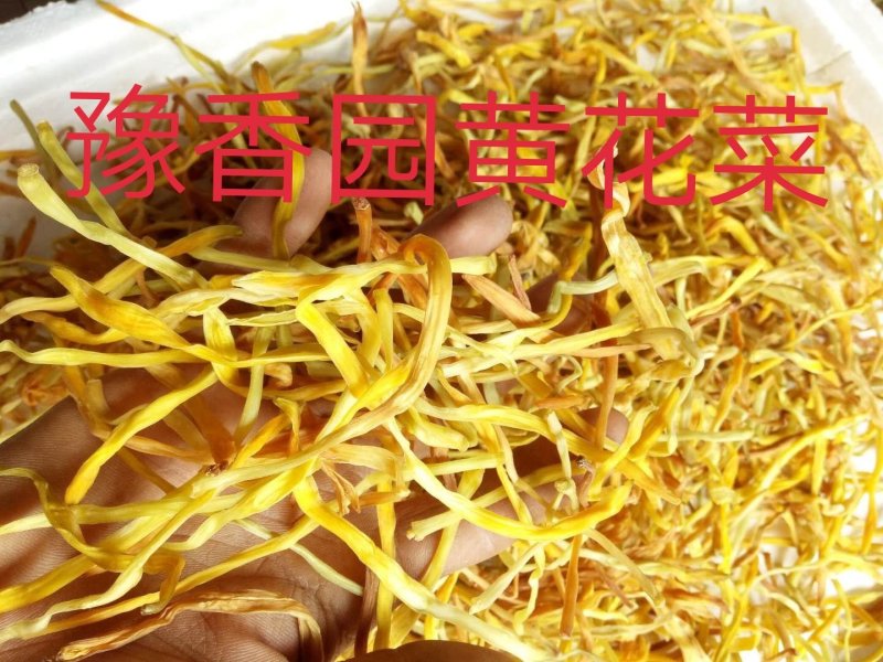 新货上市黄花菜干货散装一级无硫大条