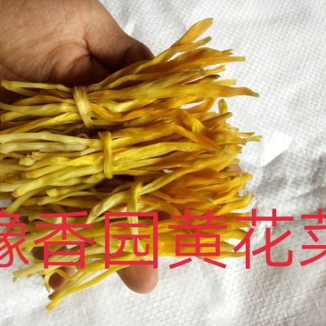 新货上市黄花菜干货散装一级无硫大条