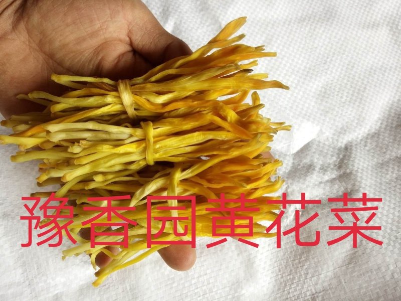 新货上市黄花菜干货散装一级无硫大条