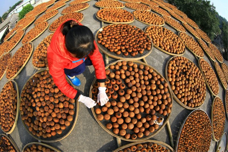 柑普茶