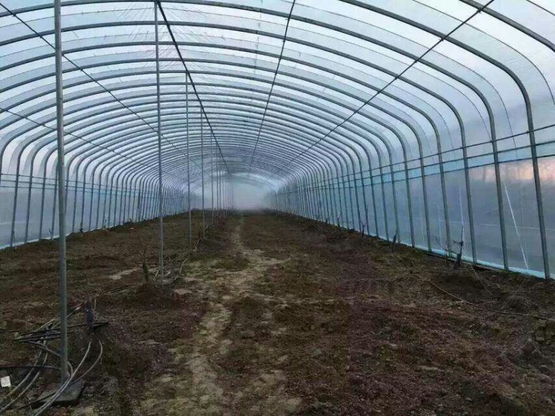 椭圆管大棚安装设计