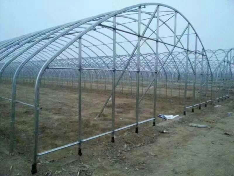 椭圆管蔬菜大棚，椭圆管温室大棚