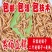 面包虫活体黄粉虫活体