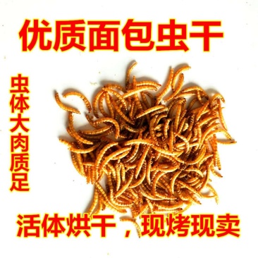 面包虫干