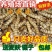 大麦虫活体一斤31元