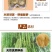 柳编圆框37元