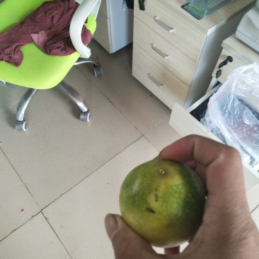 黄斤百香果荔枝味芭乐味