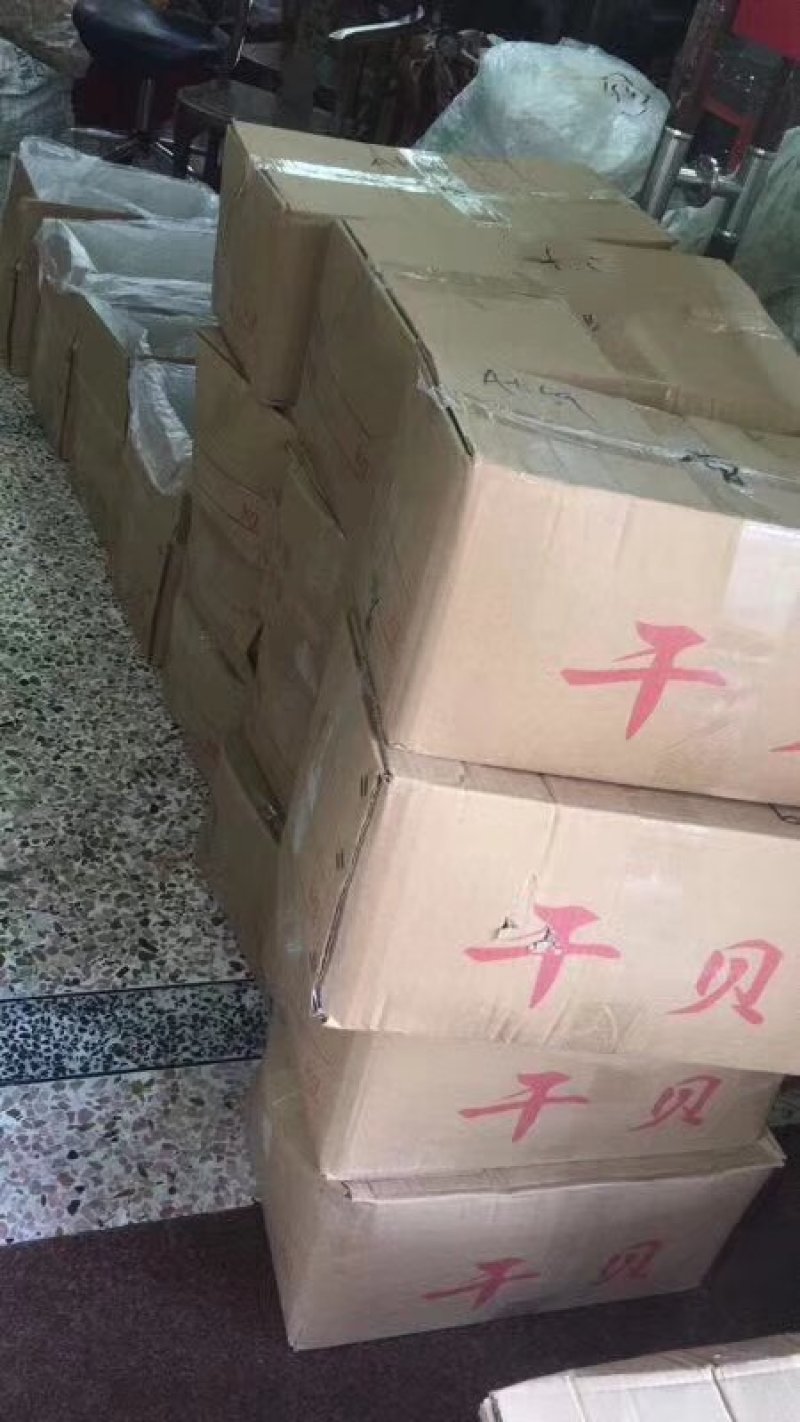 干贝