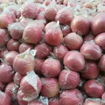 万荣纸加膜富士，大量上市，，价格合理。量大从优，可供超市