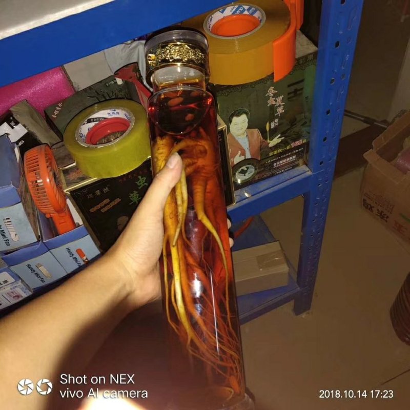 鲜人参