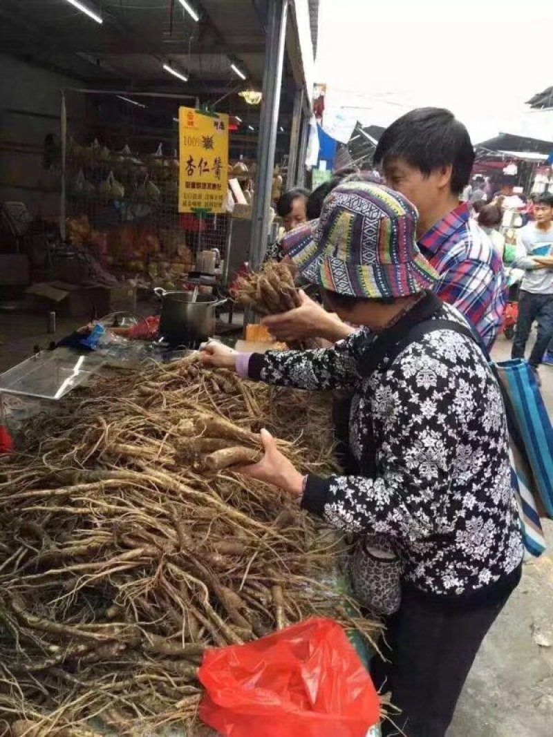 鲜人参
