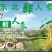 鲜人参