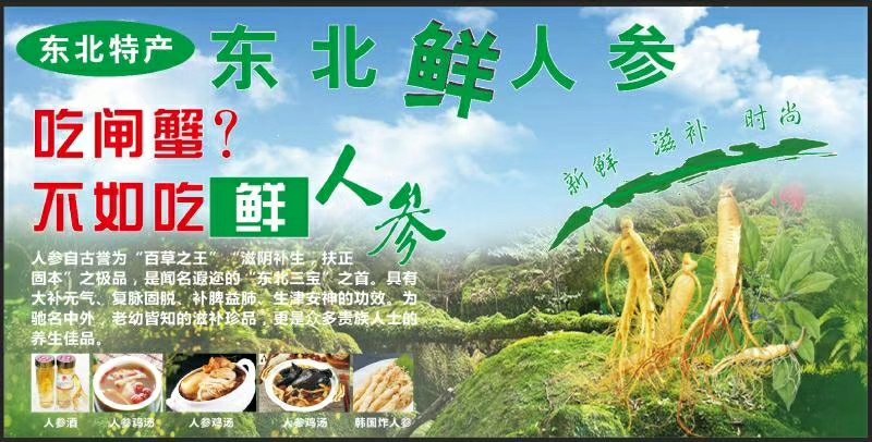 鲜人参