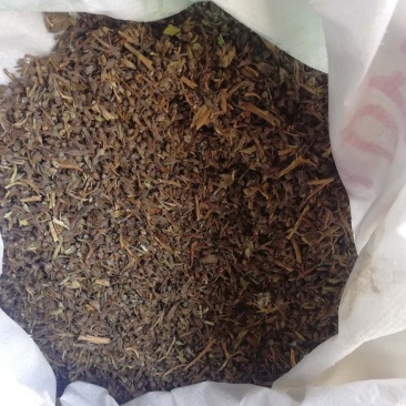 中药根茎类
