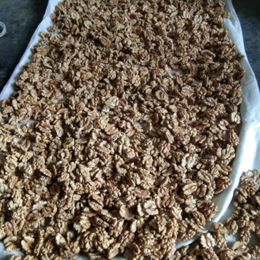尖白核桃仁