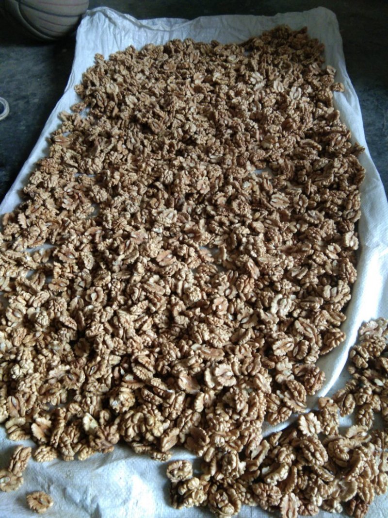 尖白核桃仁