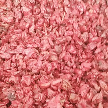 浙江中药材山茱萸供应