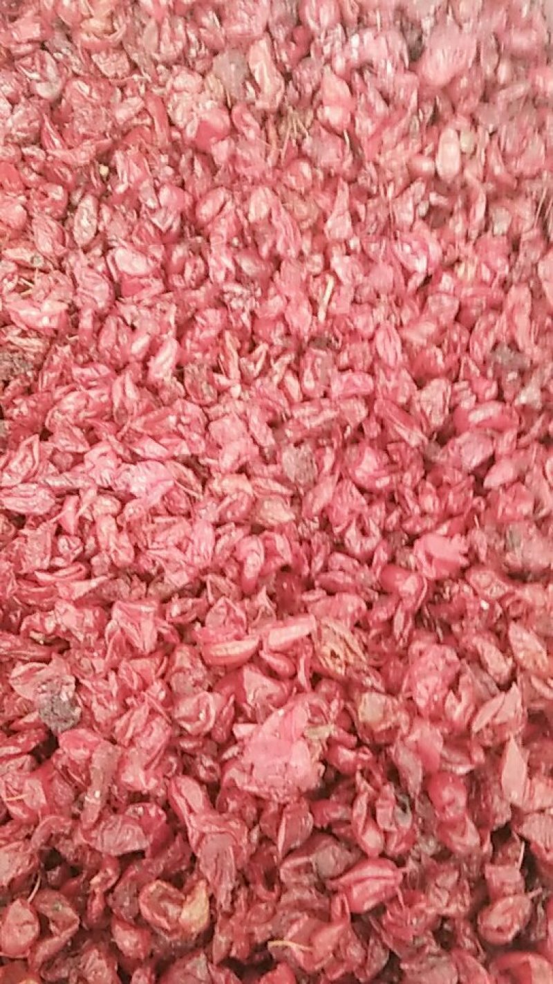 浙江中药材山茱萸供应