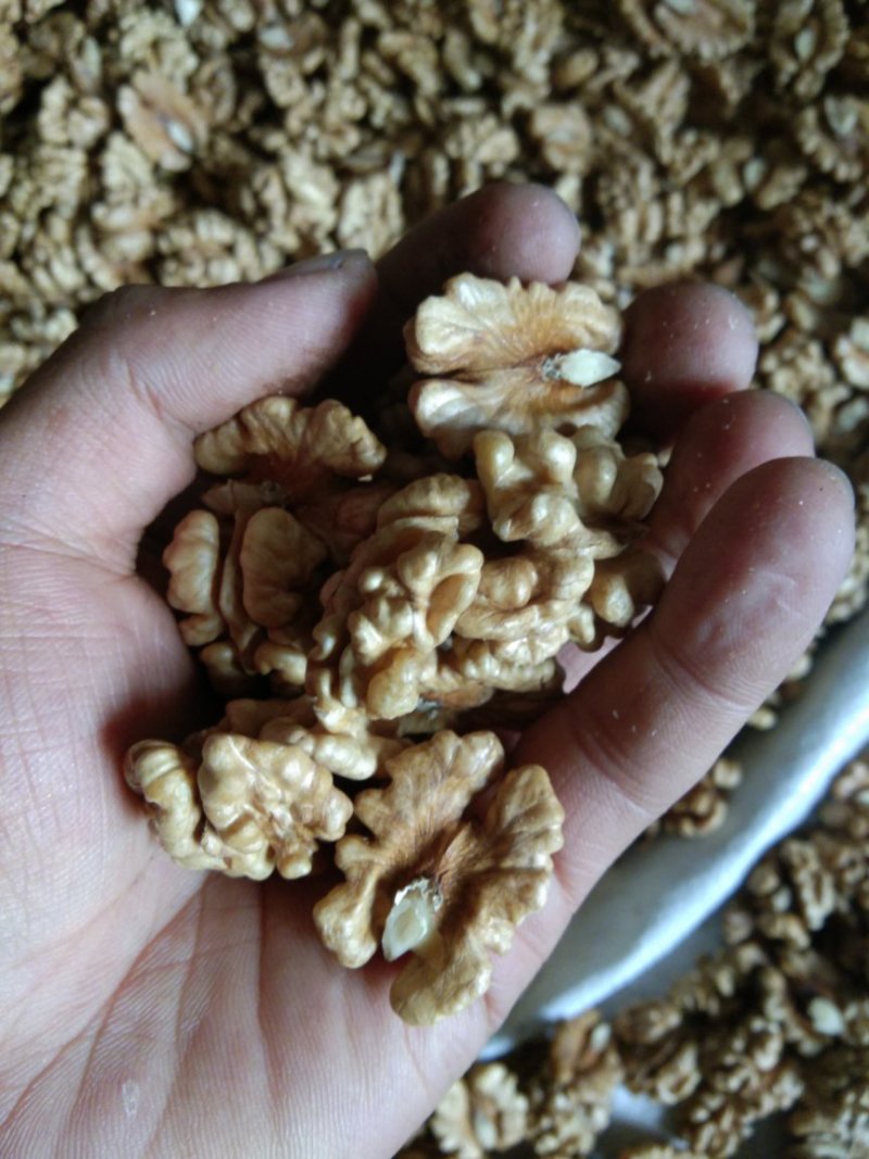 尖白核桃仁
