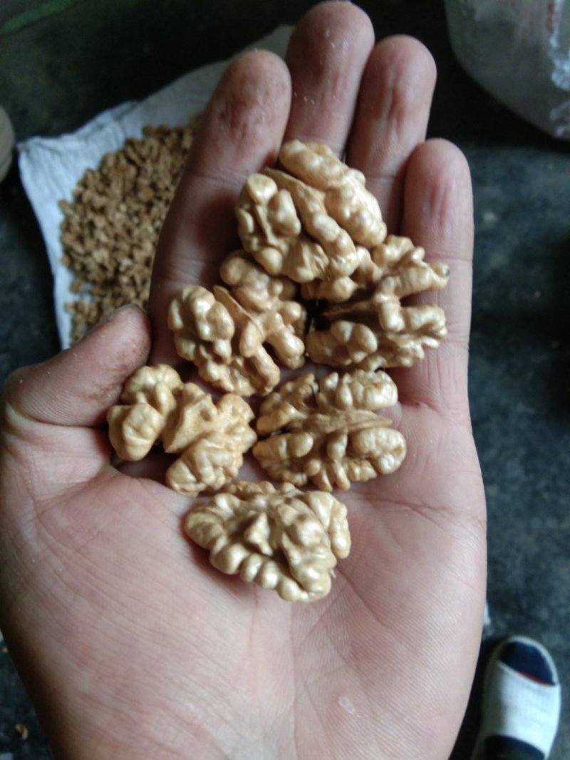 尖白核桃仁