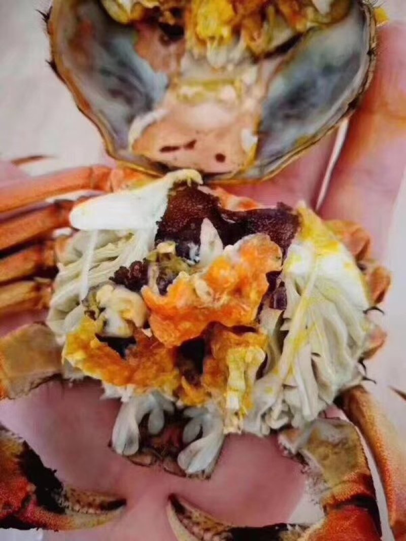 盘锦河蟹