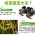 盘锦河蟹