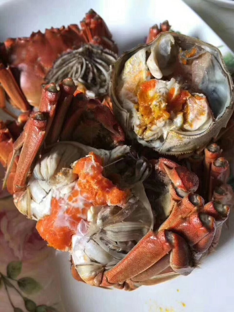 盘锦河蟹