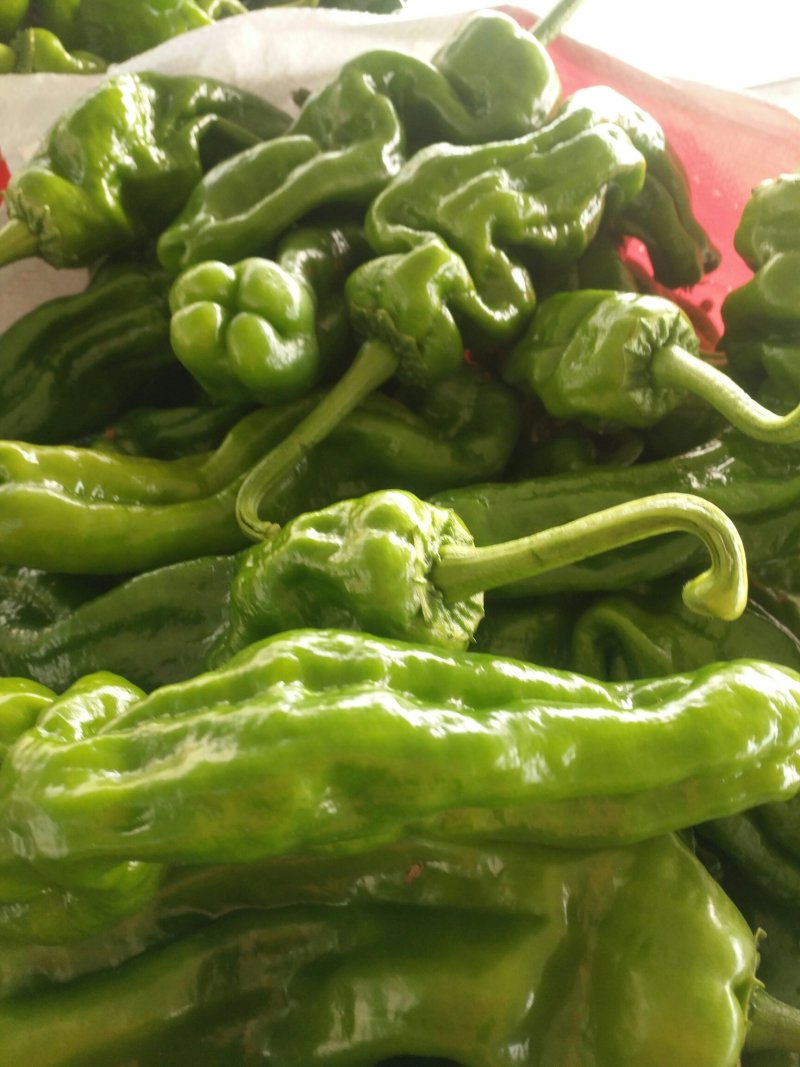 枣庄鲜芜湖苏椒（大棚），15一25厘米，微辣，