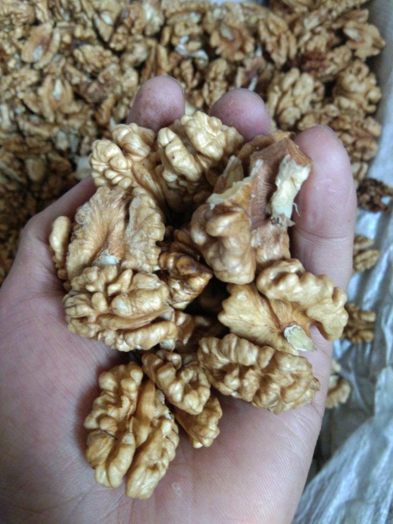 尖普核桃仁
