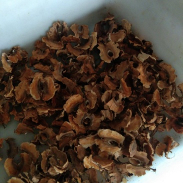 核桃分心木