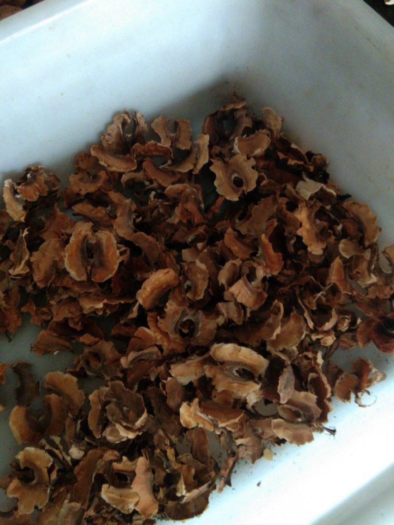 核桃分心木